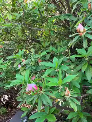 大山祇神社(福岡県)
