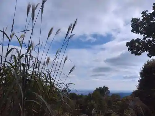 高尾山薬王院の自然