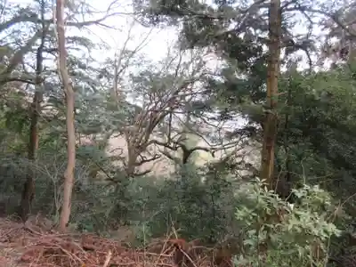厳魂神社（金刀比羅宮奥社）(香川県)