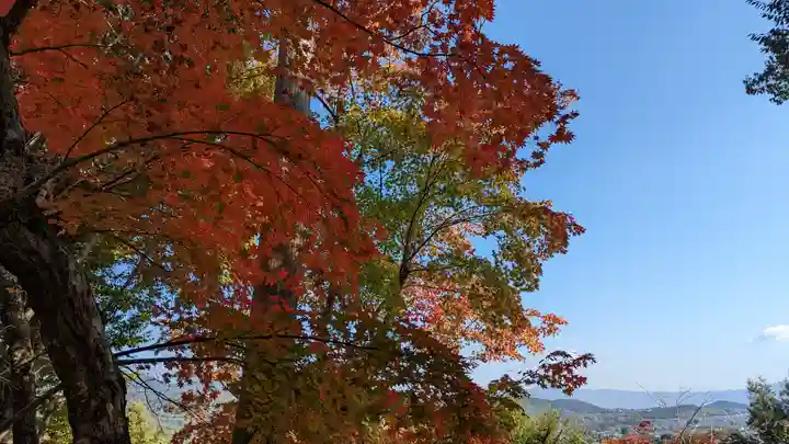 二尊院(京都府)