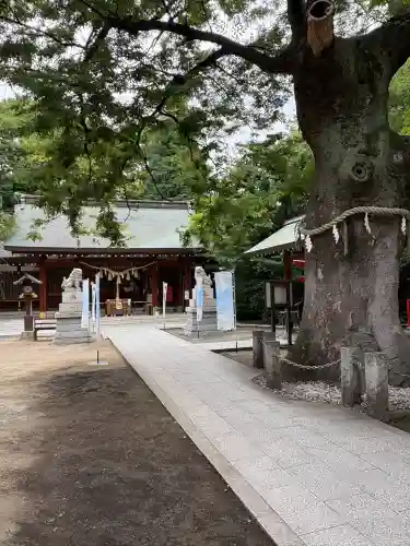 磐井神社(東京都)