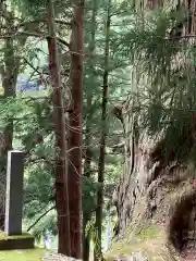 山王神社の自然