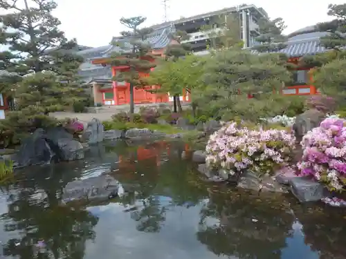 蓮華王院（三十三間堂）の庭園