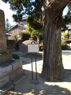 光了寺のその他建物