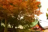 秋葉神社(東京都)
