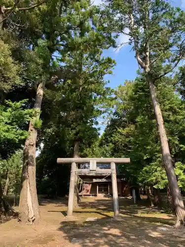 白幡神社の鳥居