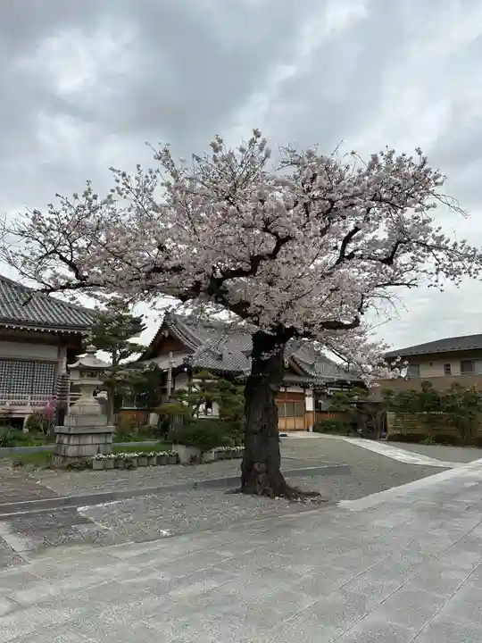 弘誓院(神奈川県)