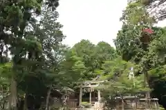 若宮八幡社(滋賀県)