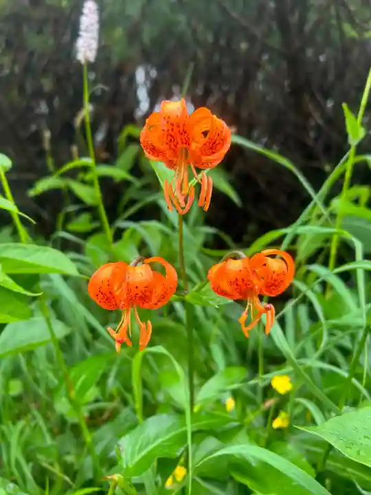 白山比咩神社 奥宮(石川県)