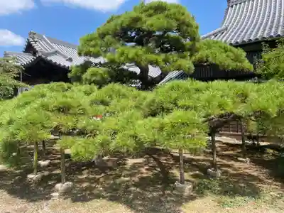 法然寺(香川県)
