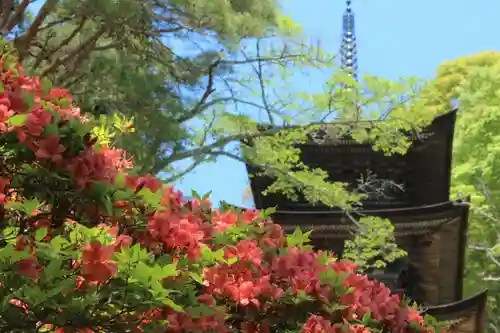 国宝 大法寺の御朱印
