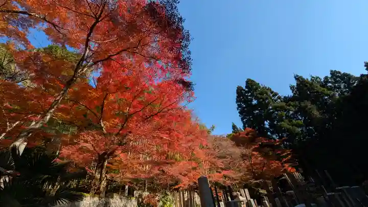 吟松寺(京都府)