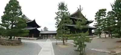 妙心寺（妙心禅寺）(京都府)