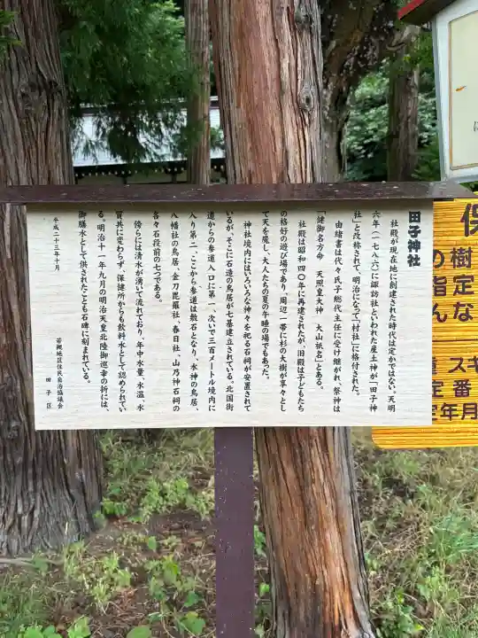 田子神社(長野県)