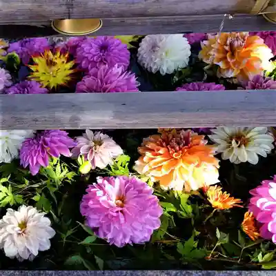 豊景神社の手水舎
