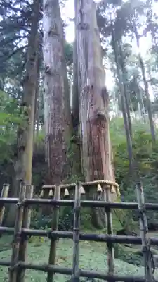 御岩神社(茨城県)