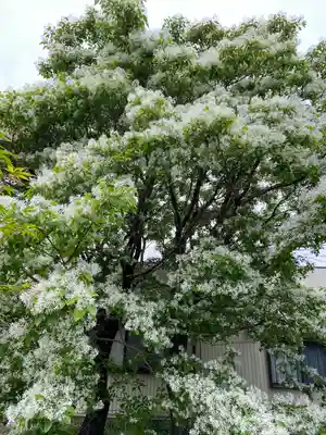 慈眼寺(愛知県)