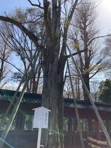 根津神社(東京都)