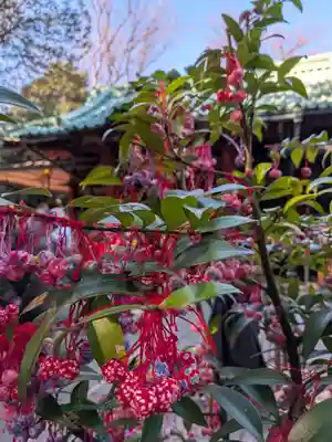 赤坂氷川神社(東京都)