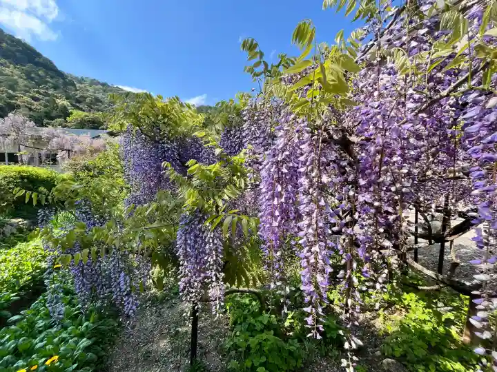 白毫寺熊野権現社(兵庫県)