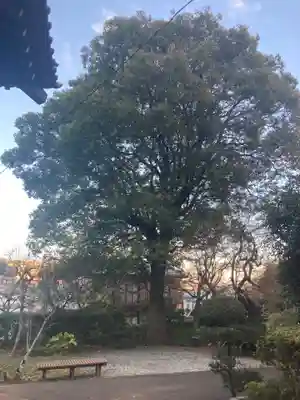 円光寺(神奈川県)