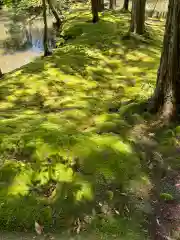 西芳寺(京都府)