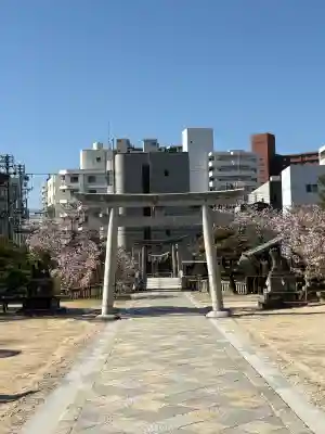 鶴羽根神社の{uncategorized: "未分類", other: "その他", undefined: "問題あり", building: "その他建物", grave: "お墓", sacred_gate: "鳥居", guardian: "狛犬", statue: "像", buddha: "仏像", history: "歴史", nature: "自然", garden: "庭園", animal: "動物", pagoda: "塔", temizu: "手水舎", mountain_gate: "山門・神門", sanctuary: "本殿・本堂", subordinate: "末社・摂社", art: "芸術", scenery: "景色", jizo: "地蔵", ema: "絵馬", goshuin: "御朱印", omikuji: "おみくじ", items: "授与品その他", amulet: "お守り", goshuincho: "御朱印帳", eats: "食事", festival: "お祭り", votive_dance: "神楽", shichigosan: "七五三参", wedding: "結婚式", experience: "体験その他", initially: "初詣", around: "周辺", anti_infection: "感染症対策"}