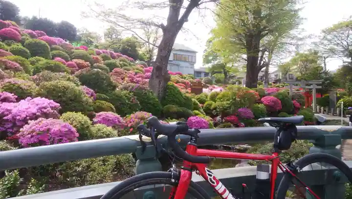 根津神社のその他建物