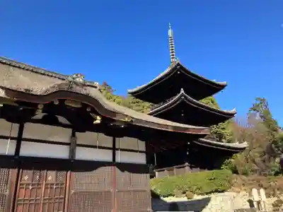 園城寺（三井寺）(滋賀県)