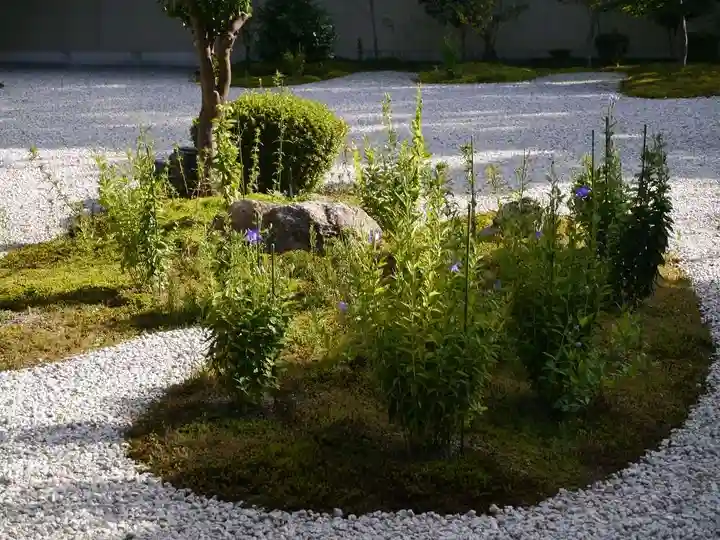 廬山寺(廬山天台講寺)の庭園