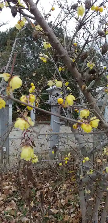比佐豆知神社(三重県)