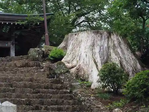 松尾寺(京都府)