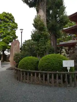 宝仙寺のその他建物
