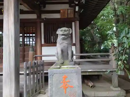 綾瀬稲荷神社の狛犬