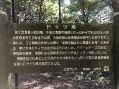 大麻比古神社(徳島県)