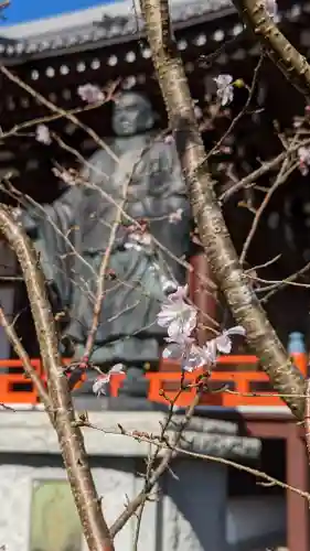 本圀寺(京都府)