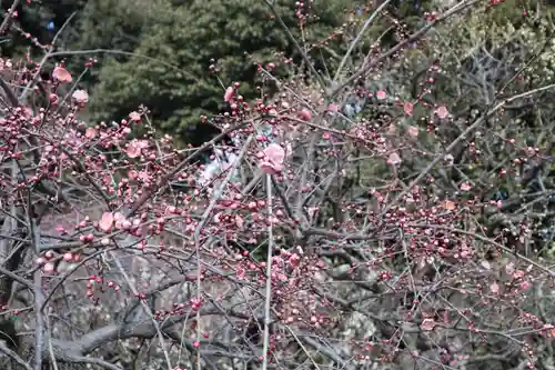 道明寺天満宮の庭園