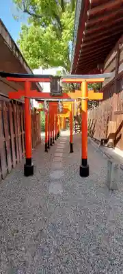 堀越神社(大阪府)