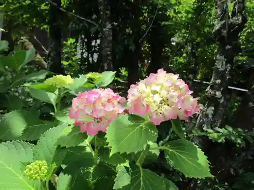 丹生官省符神社(和歌山県)