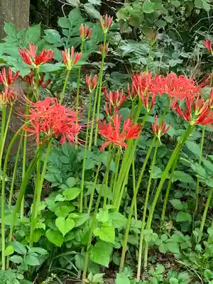 鏡石鹿嶋神社 ＊安産・開運・勝利の神さま＊(福島県)