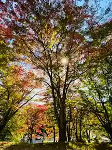 土津神社|こどもと出世の神さま(福島県)(2023年10月25日(水) 12時46分55秒投稿)