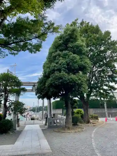 大棚・中川杉山神社(神奈川県)