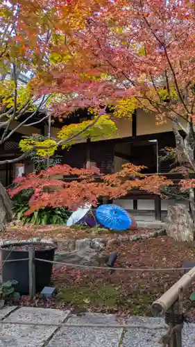 勝林寺(京都府)