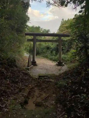 子大神の鳥居