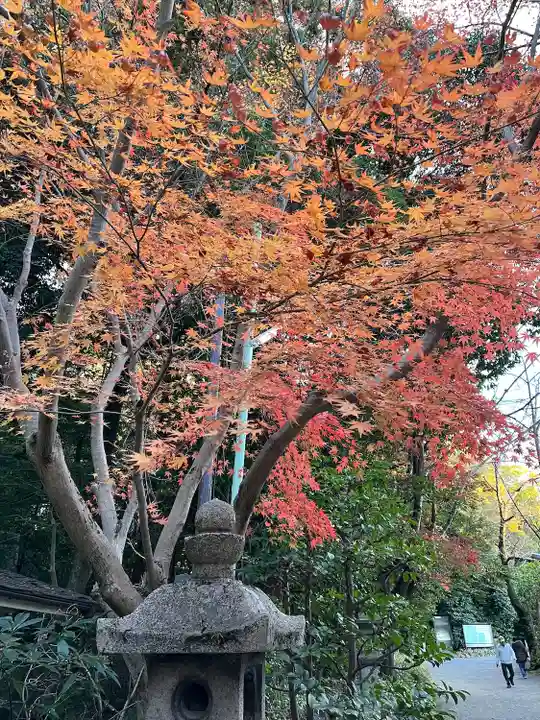 石清水八幡宮(京都府)