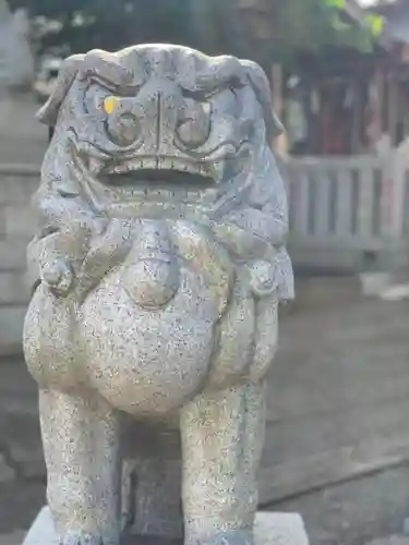 滝野川八幡神社の狛犬