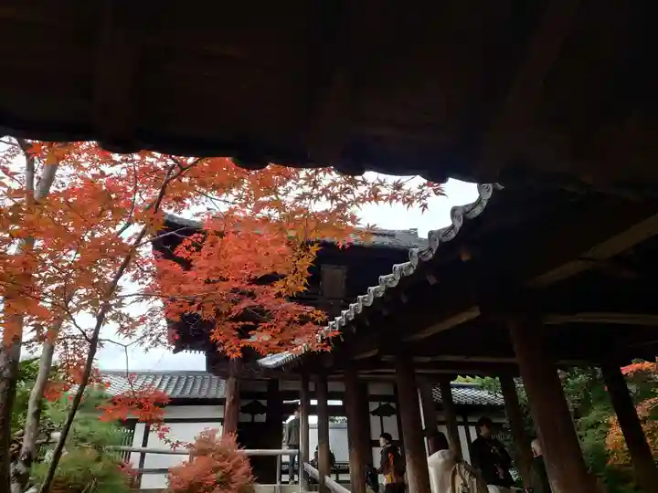 東福禅寺(東福寺)(京都府)