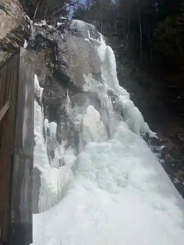 上尾御嶽神社の自然