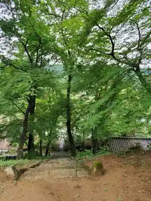 正蓮寺のその他建物