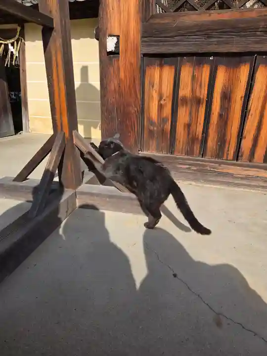 梅宮大社(京都府)